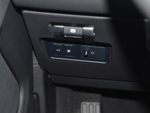 2021��O��L P300e ���A�� �п؅^(q��)