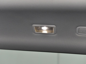 2021��O��L P300e ���A�� �п؅^