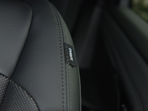 2021��O��L P300e ���A�� �п؅^