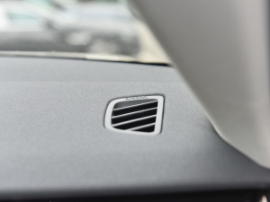 2021��O��L P300e ���A�� �п؅^