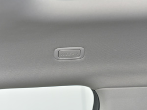 2021��O��L P300e ���A�� �п؅^