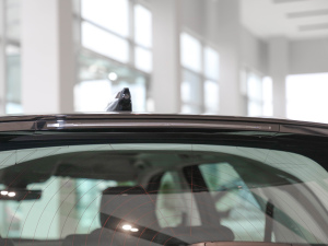 2022249PS R-Dynamic SE ܿƼ 5 (x)(ji)^