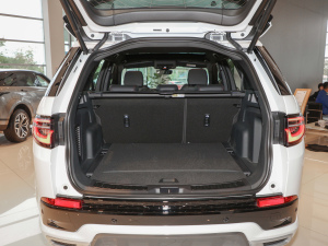 2022249PS R-Dynamic S ܰ 5 g