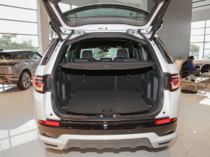 2022249PS R-Dynamic S ܰ 5 g