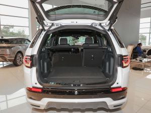 2022249PS R-Dynamic S ܰ 5 g