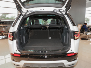 2022249PS R-Dynamic S ܰ 5 g