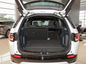 2022249PS R-Dynamic S ܰ 5 g