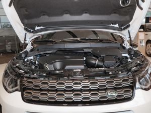 2022249PS R-Dynamic S ܰ 5 lәC