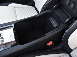 2022249PS R-Dynamic HSE Aư 7 g