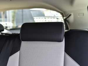 2022249PS R-Dynamic HSE Aư 7 g