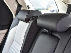 2022249PS R-Dynamic HSE Aư 7 g