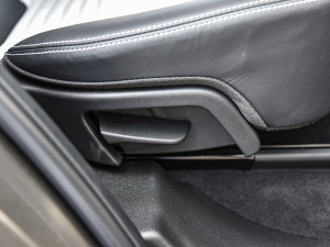 2022249PS R-Dynamic HSE Aư 7 g