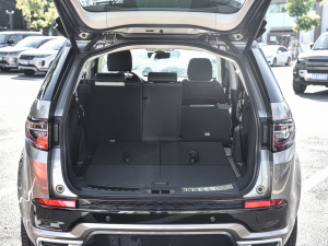 2022249PS R-Dynamic HSE Aư 7 g