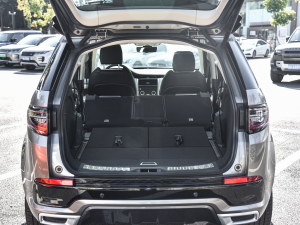 2022249PS R-Dynamic HSE Aư 7 g