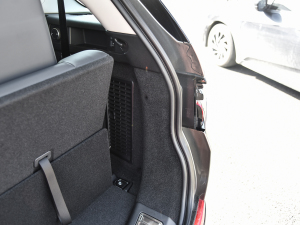 2022249PS R-Dynamic HSE Aư 7 g