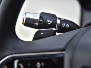 2022249PS R-Dynamic HSE Aư 7 п؅^