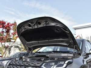 2022249PS R-Dynamic HSE Aư 7 lәCœ