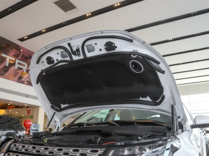 2022200PS ͥ 5 lәCœ