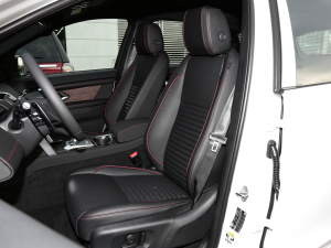 2022Ŀ 249PS R-Dynamic SE ܿƼ 5 {