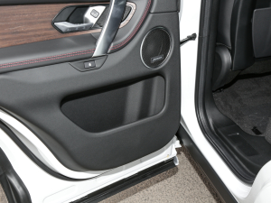 2022Ŀ 249PS R-Dynamic SE ܿƼ 5 Tg