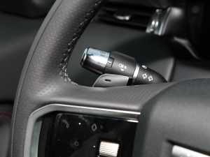 2022Ŀ 249PS R-Dynamic SE ܿƼ 5 п؅^