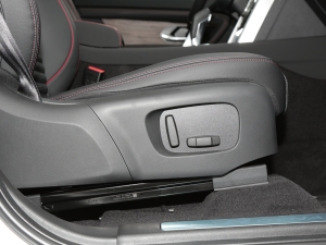 2022Ŀ 249PS R-Dynamic S ܰ 5 g