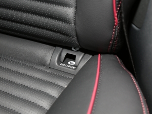 2022Ŀ 249PS R-Dynamic S ܰ 5 g