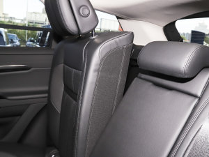 2022OL 249PS R-Dynamic A g