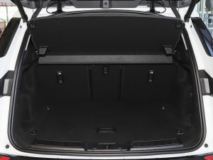 2022OL 249PS R-Dynamic A g