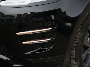 2022OL 249PS R-Dynamic ˹~؄e ^