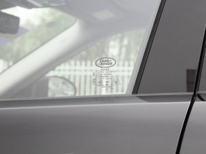 2022OL 249PS R-Dynamic ˹~؄e (x)(ji)^