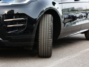 2022OL 249PS R-Dynamic ˹~؄e (x)(ji)^