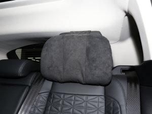 2022OL 249PS R-Dynamic ˹~؄e g