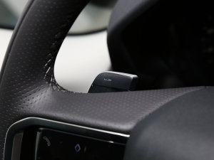 2022OL 249PS R-Dynamic ˹~؄e п؅^