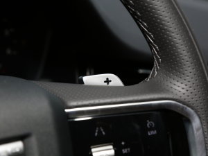 2022OL 249PS R-Dynamic ˹~؄e п؅^