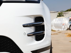 2022��O��L P300e ���ܰ� �������^