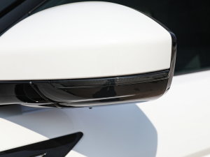 2022��O��L P300e ���ܰ� �������^