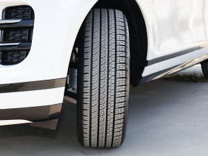 2022��O��L P300e ���ܰ� �������^