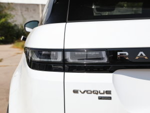 2022��O��L P300e ���ܰ� �������^