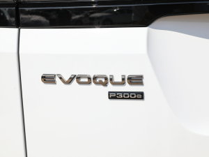 2022��O��L P300e ���ܰ� �������^