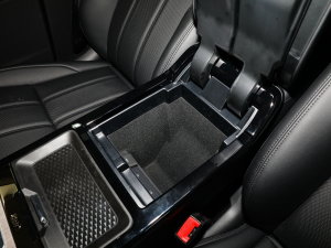 2022��O��L P300e ���ܰ� ���g����