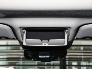 2022��O��L P300e ���ܰ� ���g����