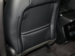 2022��O��L P300e ���ܰ� ���g����