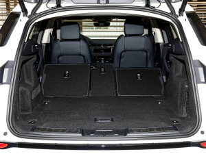 2022��O��L P300e ���ܰ� ���g����