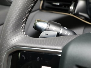 2022��O��L P300e ���ܰ� �п؅^