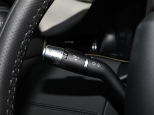 2022��O��L P300e ���ܰ� �п؅^(q��)