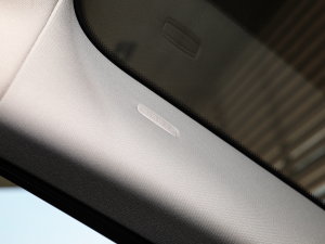 2022��O��L P300e ���ܰ� �п؅^(q��)