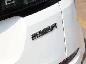 2023OL 249PS  (x)(ji)^