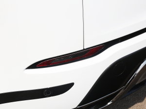 2023OL 249PS  (x)(ji)^