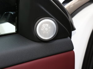 2023OL 249PS  п؅^(q)